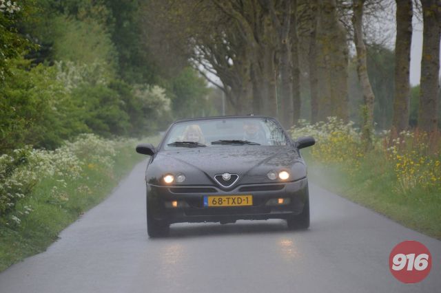 Spideren In De regen